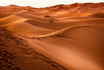 Самые интересные экскурсии по Дубаю: сафари по пустыне