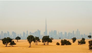 Все смотровые площадки Дубая: лучшие платные и бесплатные панорамы
