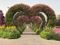 Miracle Garden and Butterfly Garden