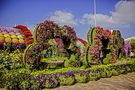 Miracle Garden and Butterfly Garden