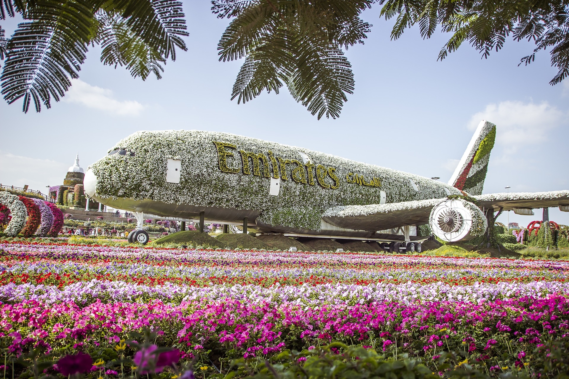 Можно цветы в самолет. Миракл Гарден Дубай. Цветочный парк в Дубае. Парк цветов Miracle Garden Дубай. Миракл Гарден Дубай самолет.