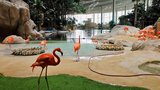 SeaWorld Yas Island Abu Dhabi © Lintophilip @ wikimedia.org / CC BY-SA 4.0.
