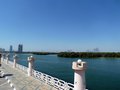 Мангровый парк Абу-Даби (Eastern Mangroves) © giggel @ wikimedia.org / CC BY 3.0.
