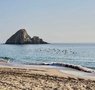 Snoopy Island & Al Aqah Beach © AdinaCo @ wikimedia.org / CC BY-SA 4.0.