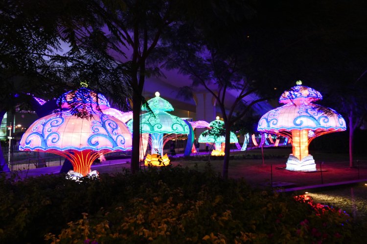 Парк Dubai Garden Glow
