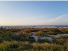 Saadiyat Beach © Adman Payne @ wikimedia.org / CC BY-SA 4.0.