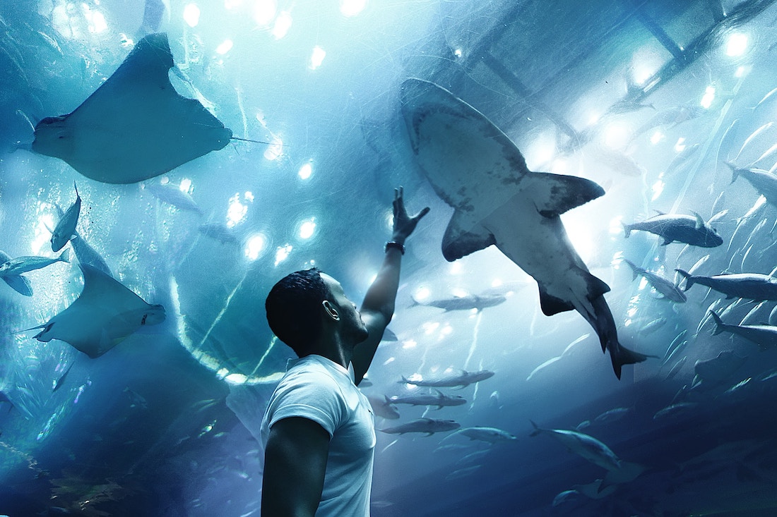 Aquarium in Dubai